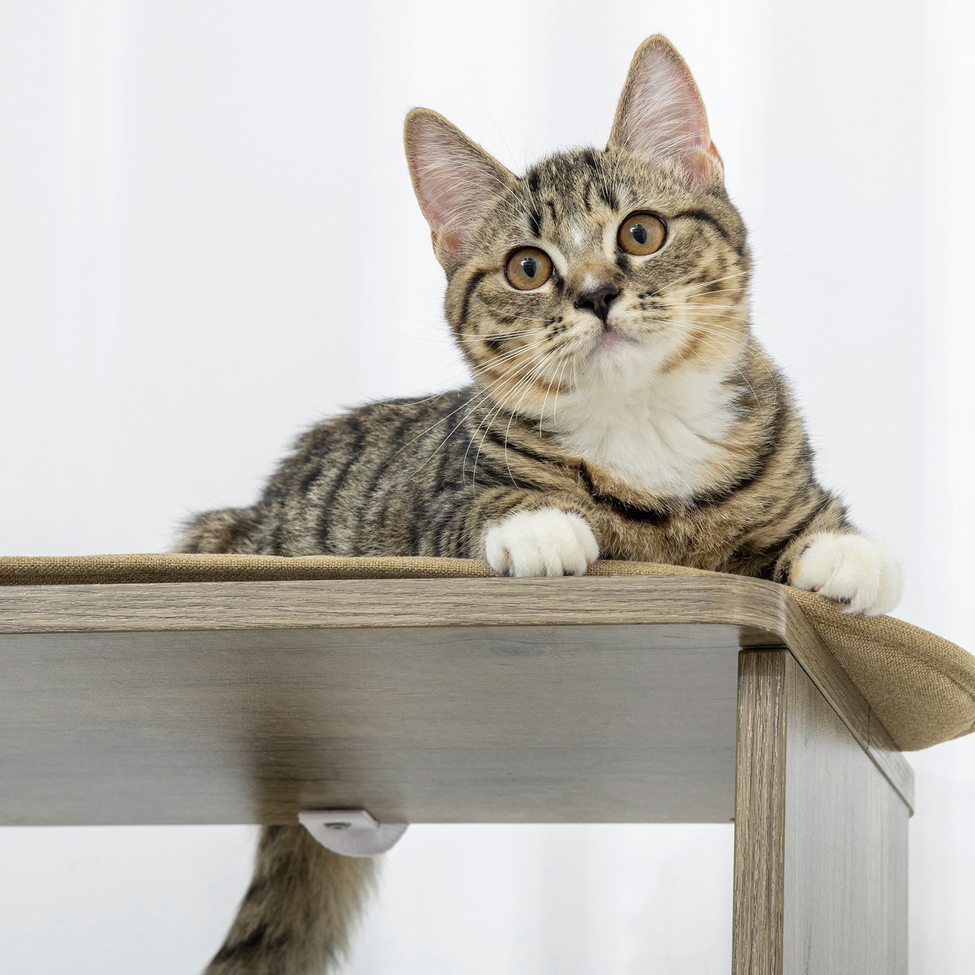 65" Corner Modern Cat Tree Tall for Climbing