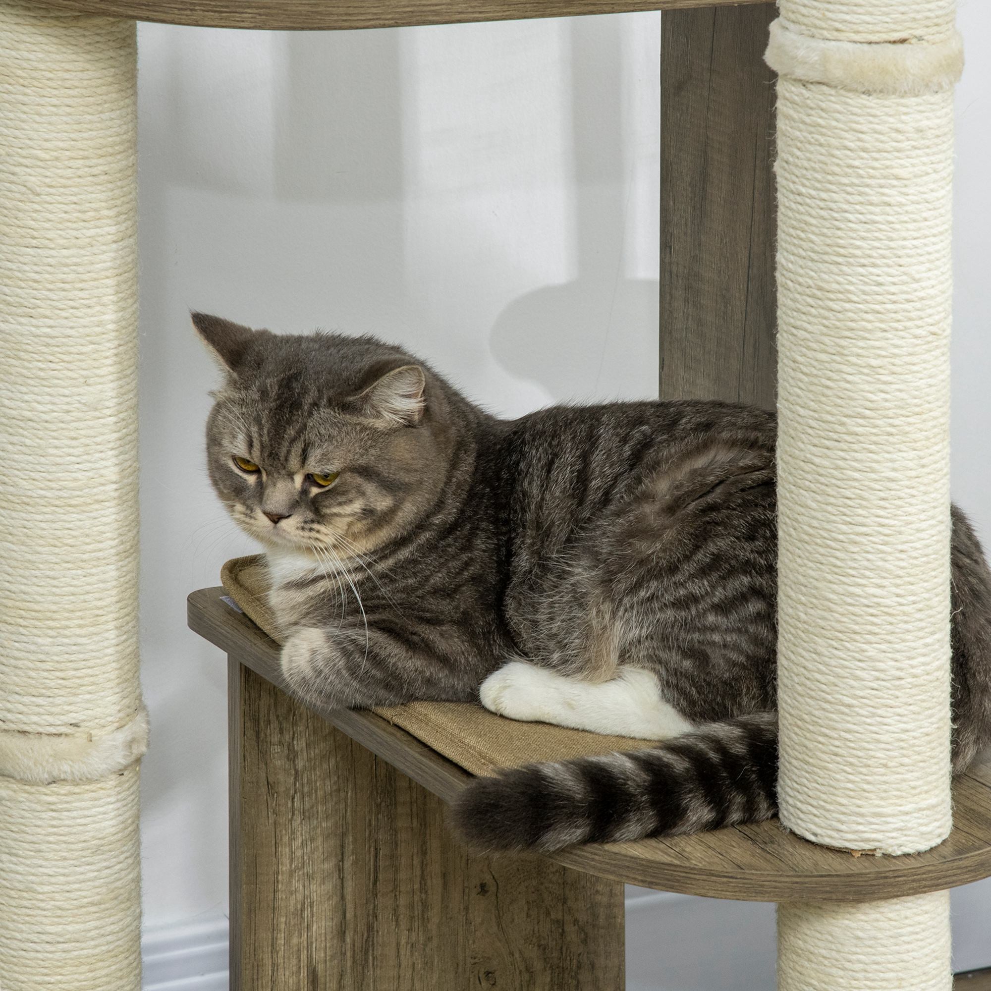 65" Corner Modern Cat Tree Tall for Climbing